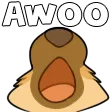 micAwoo
