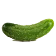 valvenewsPickle