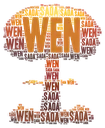 wen_saoa_bomb