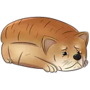Loafpup