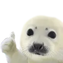 sealofapproval