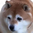 SadBOYE SadBOYE
