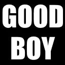 goodboy goodboy