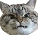 Angry