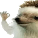 yes
