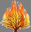 Teldrassil Teldrassil