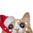 burdeySneow