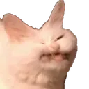 RWfricc
