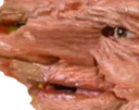 timothytrash
