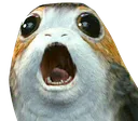 porg porg