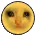 cri cri