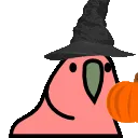 pumpkinparrot