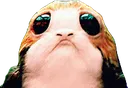 porgsad