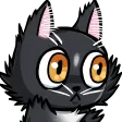 fragSpoop