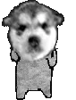 WolfPls WolfPls