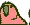 reversecongaparrot