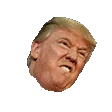 trumprage