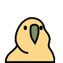 discoparrot