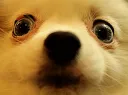 bennyyes