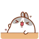 molanghaha