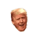 atrumpspin