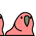 congaparrot