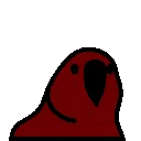 darkparrot