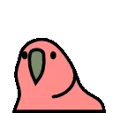 rightparrot