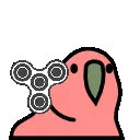 fidgetspinnerparrot