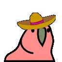 fiestaparrot