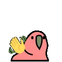wavingparrot