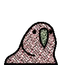 radioparrot