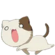 catRun