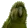 500Parrot