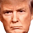 Trumped