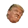 trumprage