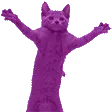 CatDancegif