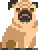 pug pug