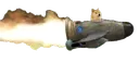DogeRocket