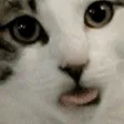 lick lick