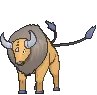tauros