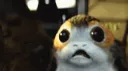 screm2