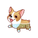 SwimPupper