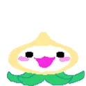 pachiDance