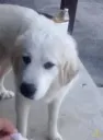 disgust