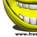 smiler2