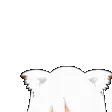 owoPeek