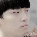 gifdinowhy