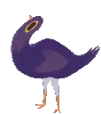 trashdove trashdove
