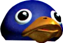 penguins penguins